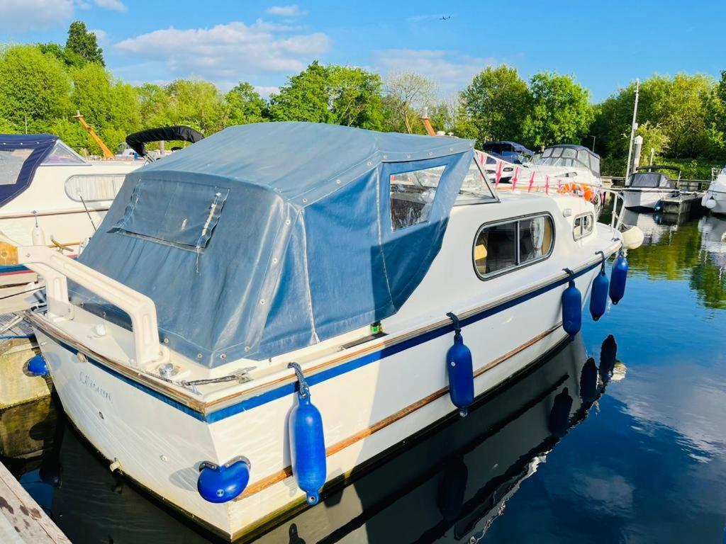 Buoyant Breaks Hotel Bray Exterior foto